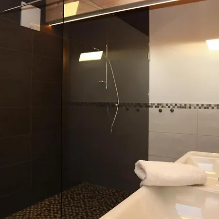 Daire In Neukirchen Near Wildkogel Arena *